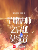 全职法师之穿越莫家兴