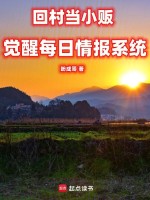 回村当小贩，觉醒每日情报系统