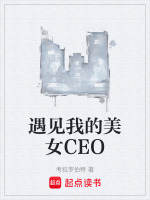 遇见我的美女CEO