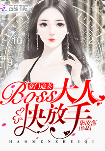 豪门追妻：BOSS大人快放手！